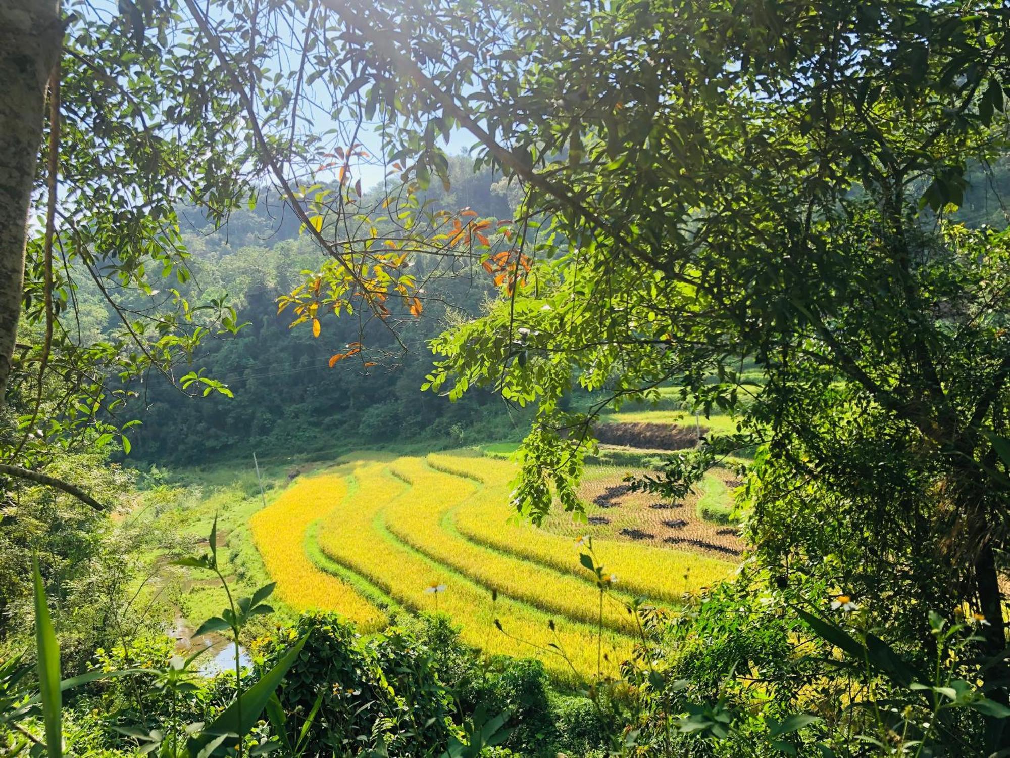 Duong Cong Chich Homestay ランソン市 エクステリア 写真